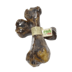 Hueso Fémur – Angus/Growis