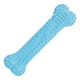 Hueso dental con sabor Pollo – Nylabone