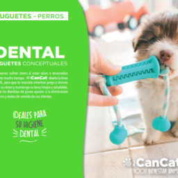 Juguete palo dental con soga – Cancat