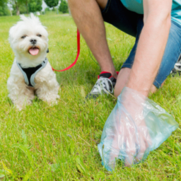 Bolsitas Higiénicas x6