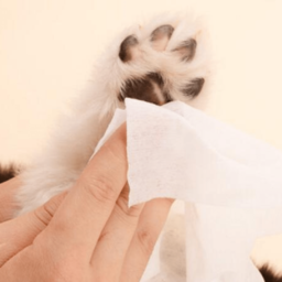 Toallitas Húmedas – DoyPack