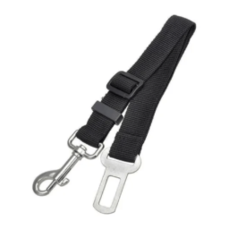Cinturón de Seguridad – Auto