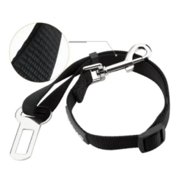 Cinturón de Seguridad – Auto