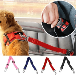 Cinturón de Seguridad – Auto