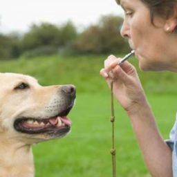 Silbato Profesional – Trixie