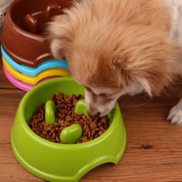 Plato Comida – Come-Lento