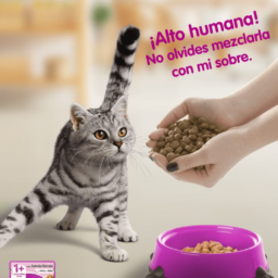 Sobrecitos Whiskas – Pavo en Salsa